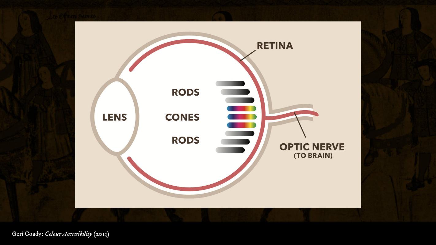 The anatomy of the eye